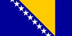 xv