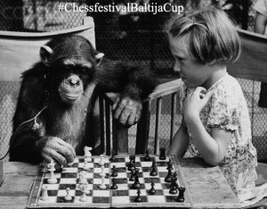 chessfestivalBaltijostaure2
